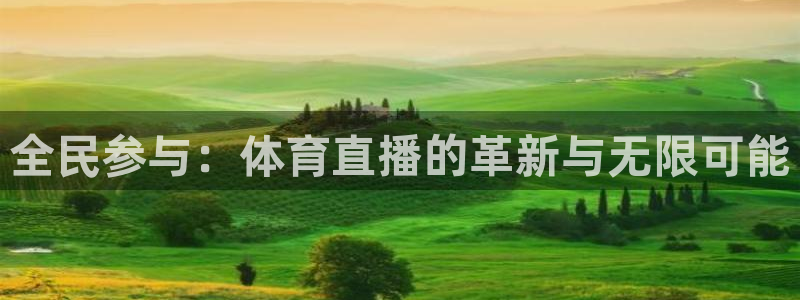 全民参与：体育直播的革新与无限可能