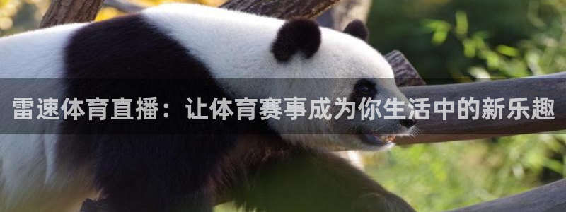雷速体育直播：让体育赛事成为你生活中的新乐趣