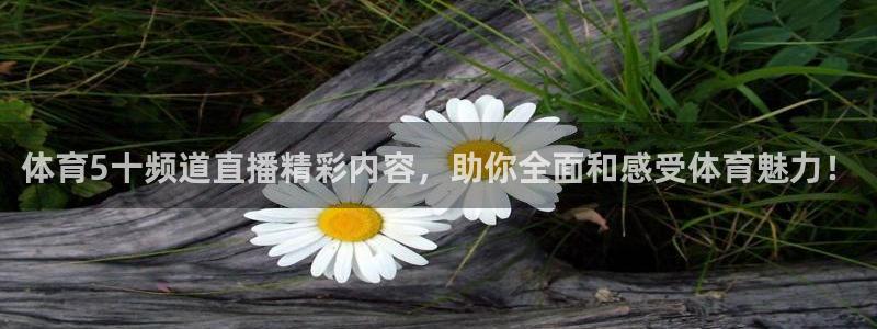 体育5十频道直播精彩内容，助你全面和感受体育魅力！