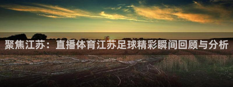 聚焦江苏：直播体育江苏足球精彩瞬间回顾与分析