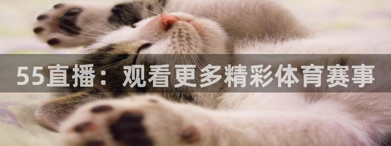 55直播：观看更多精彩体育赛事