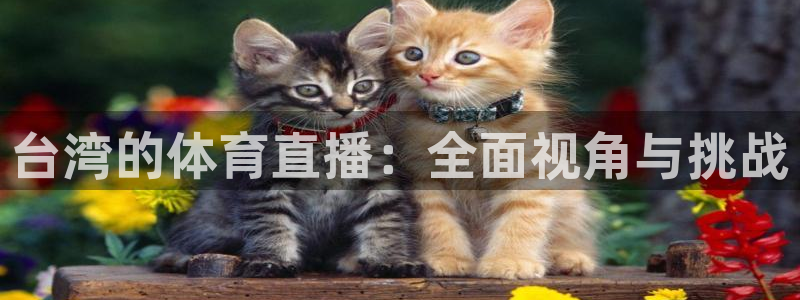 台湾的体育直播：全面视角与挑战
